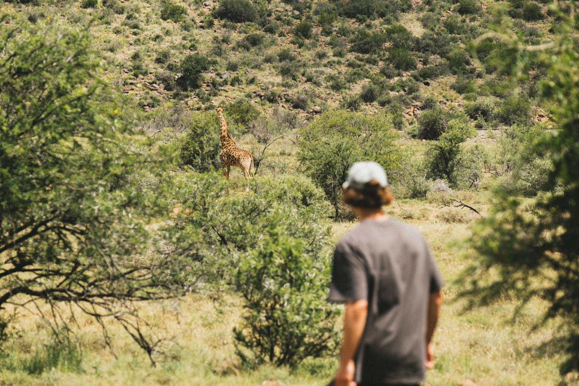 Buccara Wildlife Reserve Graaff-Reinet Eksteriør billede