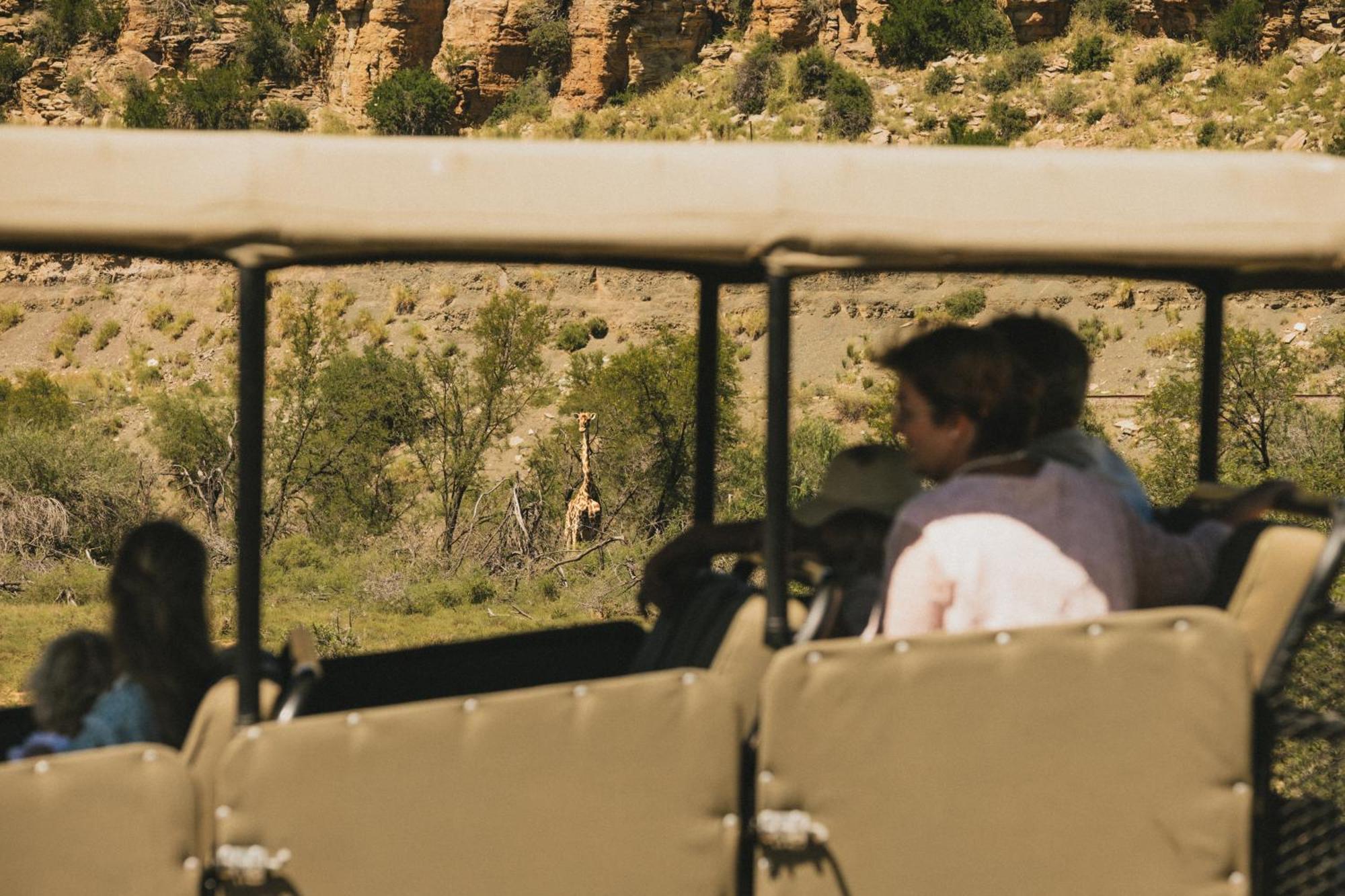 Buccara Wildlife Reserve Graaff-Reinet Eksteriør billede