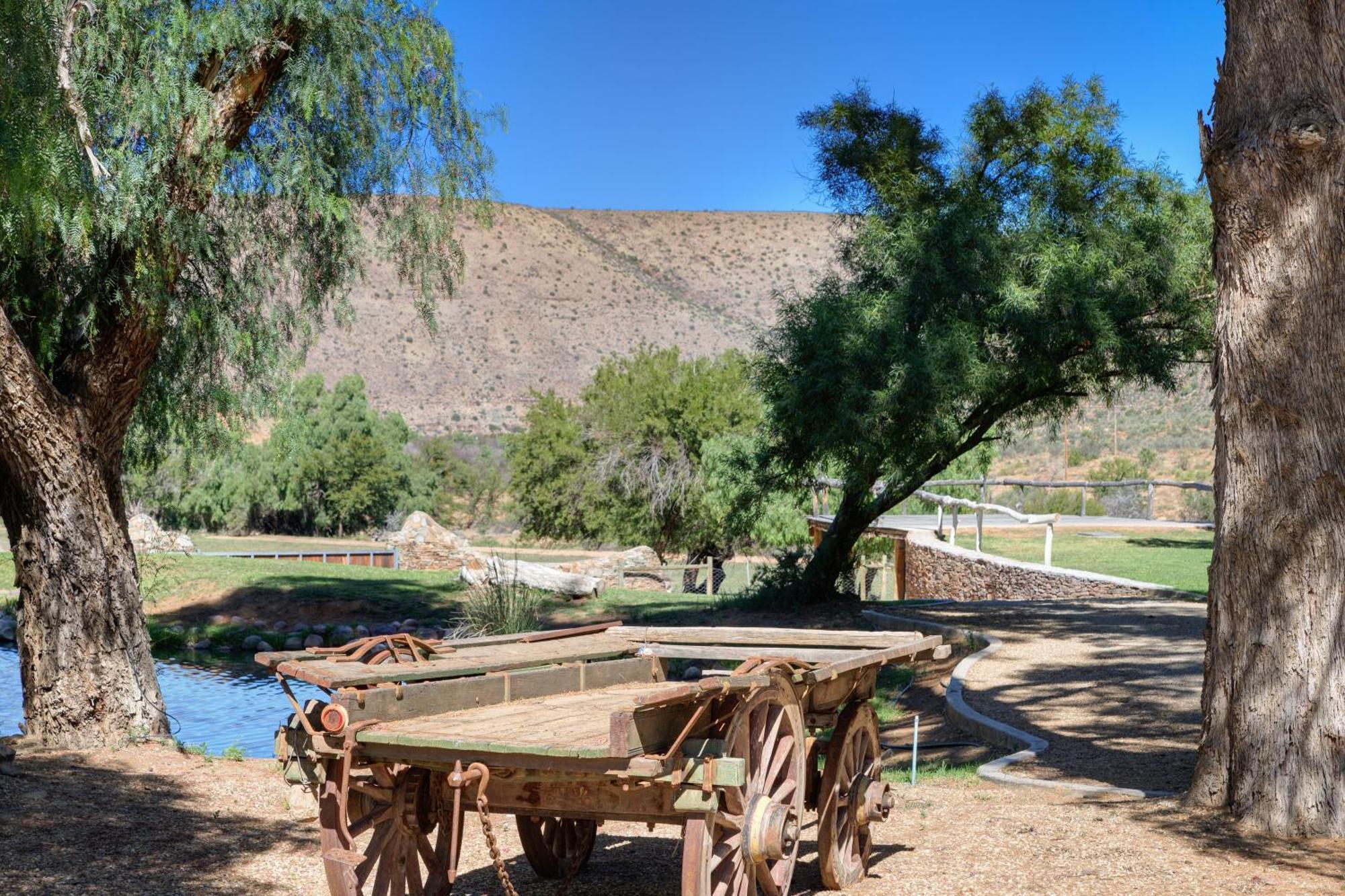Buccara Wildlife Reserve Graaff-Reinet Eksteriør billede